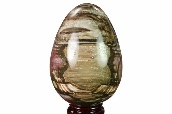 Colorful, Polished Petrified Wood Egg - Madagascar #172775